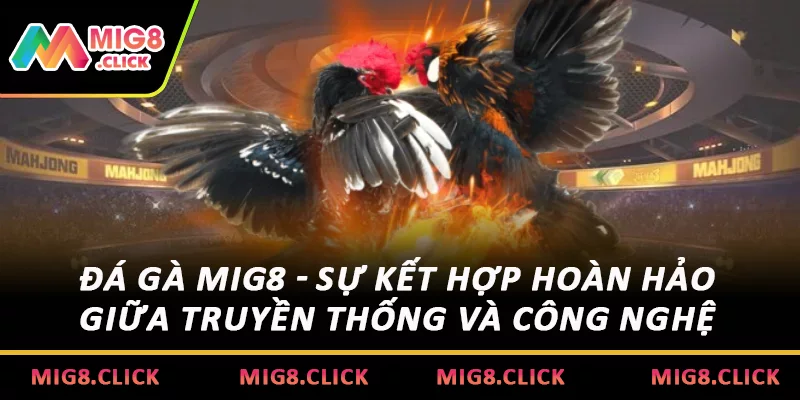 Đá gà MIG8 - Sự kết hợp hoàn hảo giữa truyền thống và công nghệ 